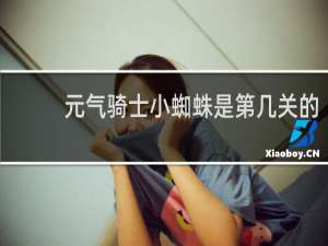 元气骑士小蜘蛛是第几关的