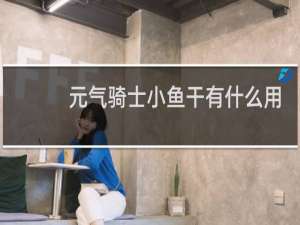 元气骑士小鱼干有什么用