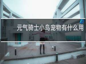 元气骑士小鸟宠物有什么用