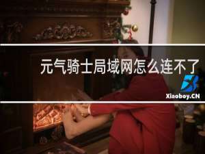 元气骑士局域网怎么连不了