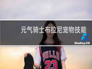 元气骑士布拉尼宠物技能