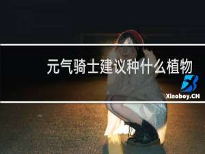 元气骑士建议种什么植物
