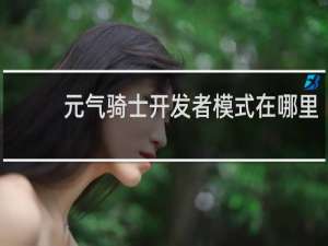 元气骑士开发者模式在哪里