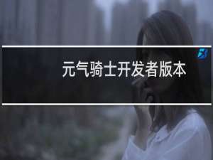 元气骑士开发者版本