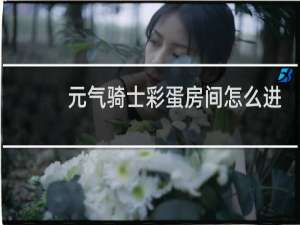 元气骑士彩蛋房间怎么进