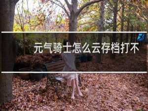 元气骑士怎么云存档打不开