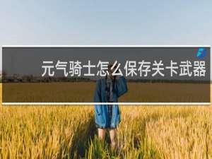 元气骑士怎么保存关卡武器