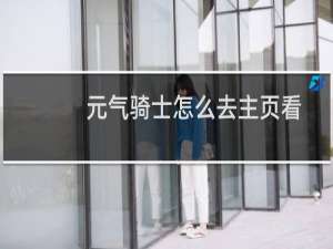 元气骑士怎么去主页看