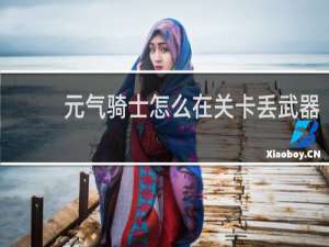 元气骑士怎么在关卡丢武器