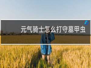 元气骑士怎么打守墓甲虫王