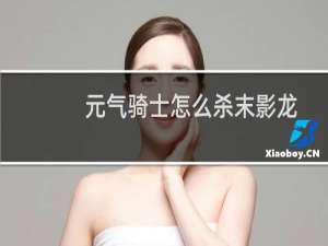 元气骑士怎么杀末影龙