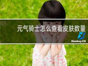 元气骑士怎么查看皮肤数量