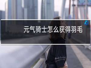 元气骑士怎么获得羽毛