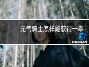 元气骑士怎样能获得一拳