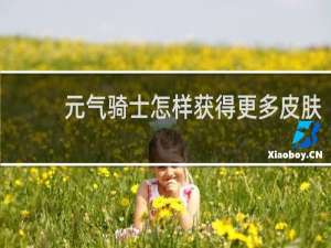 元气骑士怎样获得更多皮肤