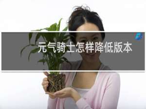元气骑士怎样降低版本