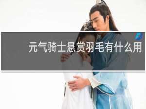 元气骑士悬赏羽毛有什么用