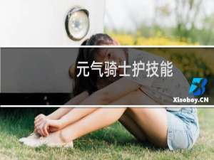 元气骑士护技能