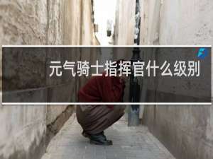 元气骑士指挥官什么级别