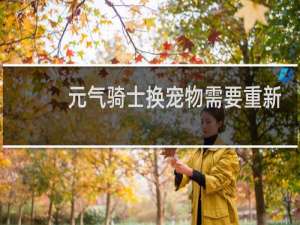 元气骑士换宠物需要重新升级吗