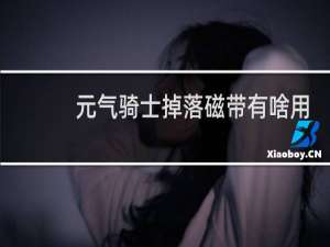元气骑士掉落磁带有啥用