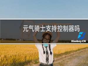元气骑士支持控制器吗