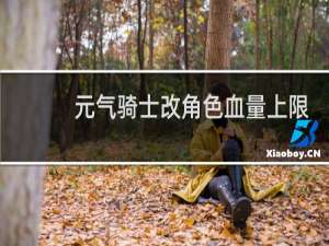 元气骑士改角色血量上限
