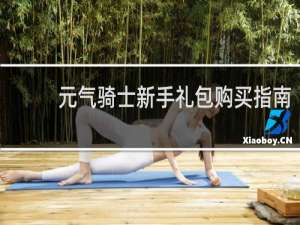 元气骑士新手礼包购买指南