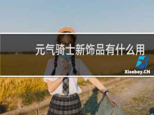 元气骑士新饰品有什么用