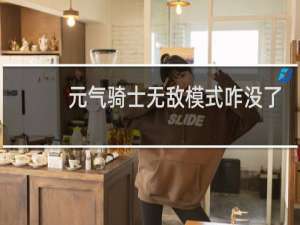 元气骑士无敌模式咋没了