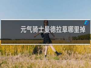 元气骑士曼德拉草哪里掉