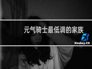 元气骑士最低调的家族