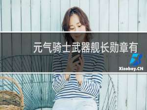 元气骑士武器舰长勋章有什么用