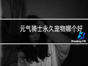 元气骑士永久宠物哪个好