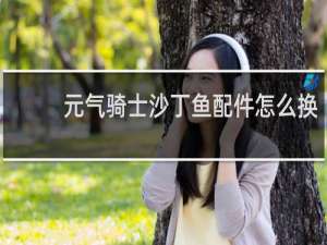 元气骑士沙丁鱼配件怎么换