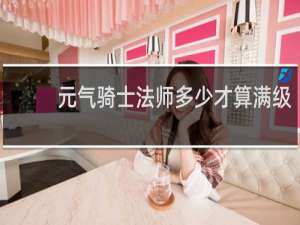 元气骑士法师多少才算满级