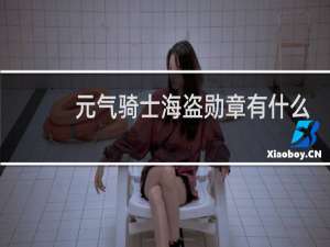 元气骑士海盗勋章有什么用