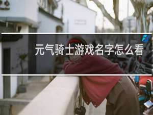 元气骑士游戏名字怎么看