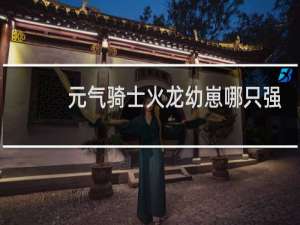 元气骑士火龙幼崽哪只强