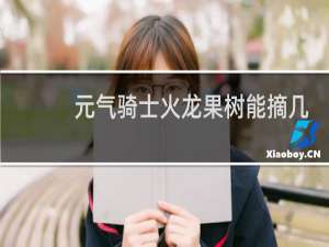 元气骑士火龙果树能摘几次