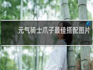 元气骑士爪子最佳搭配图片