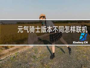 元气骑士版本不同怎样联机