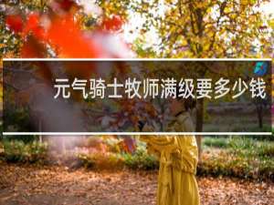 元气骑士牧师满级要多少钱