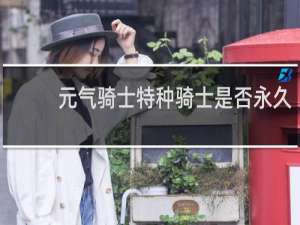 元气骑士特种骑士是否永久