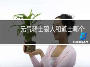 元气骑士狼人和道士哪个好