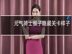 元气骑士猴子隐藏关卡样子