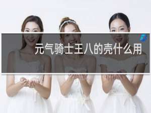 元气骑士王八的壳什么用