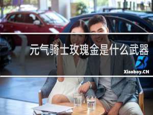 元气骑士玫瑰金是什么武器