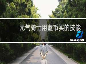 元气骑士用蓝币买的技能