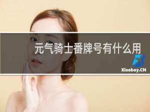 元气骑士番牌号有什么用